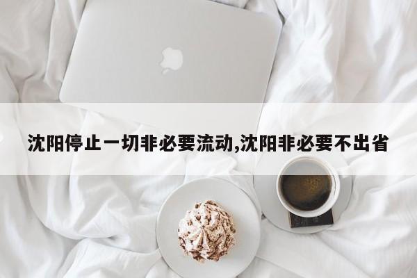 沈阳停止一切非必要流动,沈阳非必要不出省